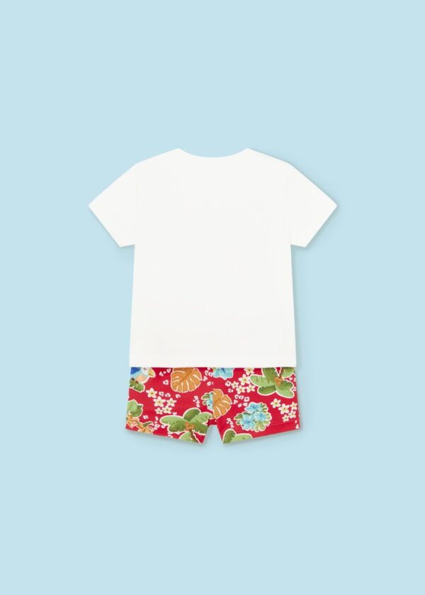 Conj. bañador camiseta - Imagen 3