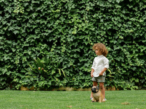 Guayabera Lino - Imagen 6