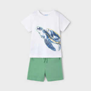 Conjunto punto turtle