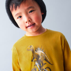 Camiseta dinosaurio niño
