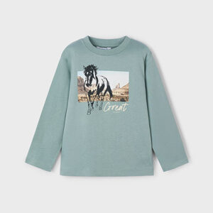 Camiseta caballo niño